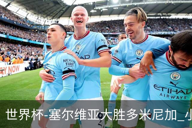 世界杯-塞尔维亚大胜多米尼加 小组第二进八强