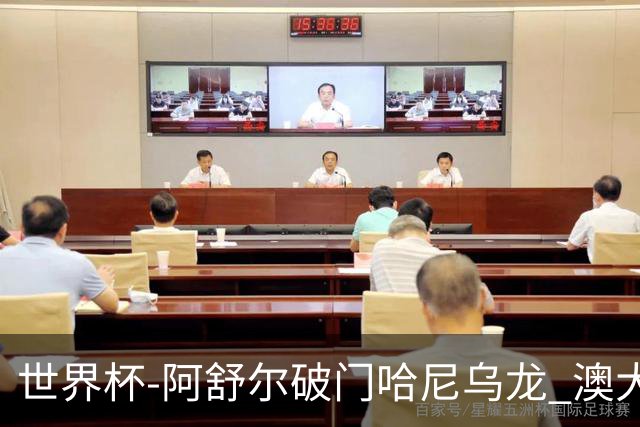世界杯-阿舒尔破门哈尼乌龙 澳大利亚1-1埃及进加时